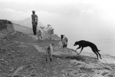 Ref GREEK ISLANDS 11 – Goat-herder, Olympos village, island of Karpathos