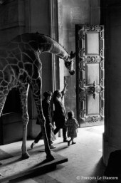 Ref Zoo 2 – Giraffe and children going out of the Grand Gallery