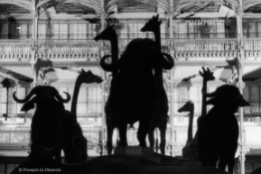 Ref Zoo 3 – The great nave of the Gallery of Zoology with silhouettes of water buffalo and giraffes